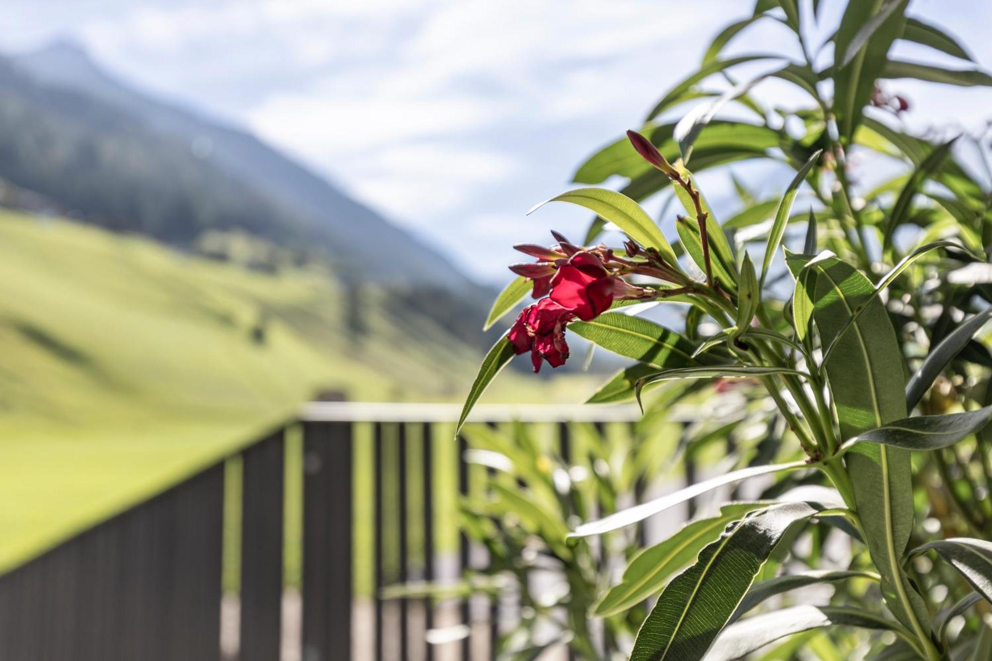 Bergmadl Apartments Neustift im Stubaital Exteriér fotografie